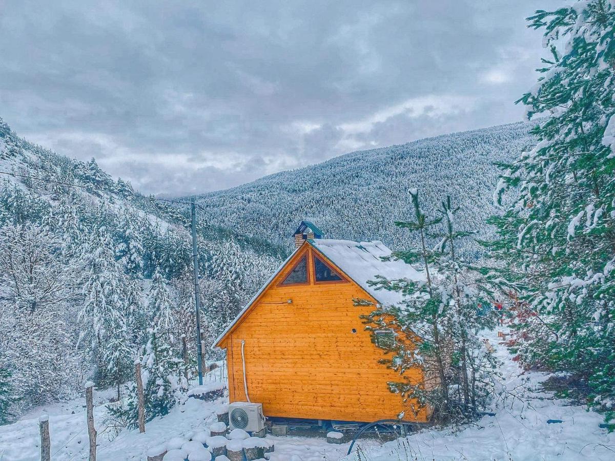 Cozy Cottage Feel Free Continental Didi Ateni Ngoại thất bức ảnh